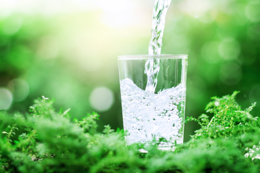 a glass of cool fresh water on natural green background